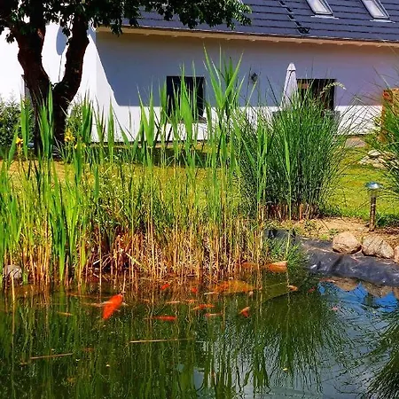 Ferienhaus Britta Kietzmann Feldberger Seenlandschaft Exterior photo